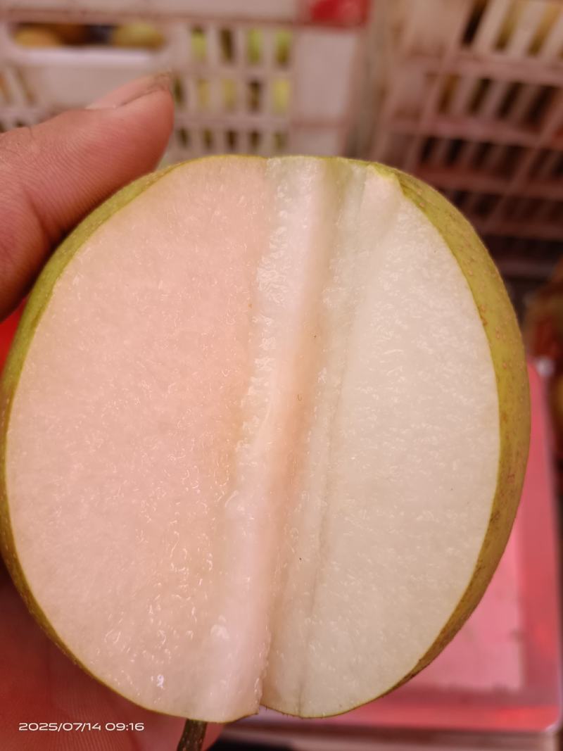 金溪的光果，套袋子的都有