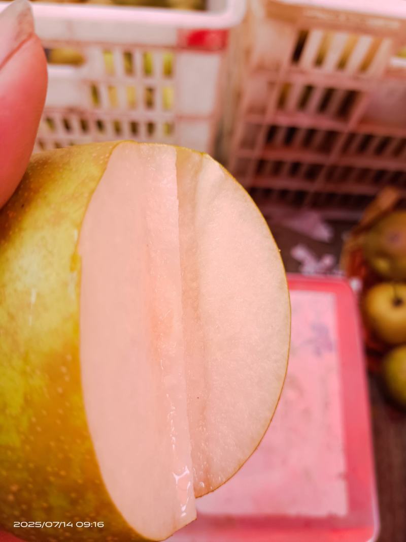 金溪的光果，套袋子的都有