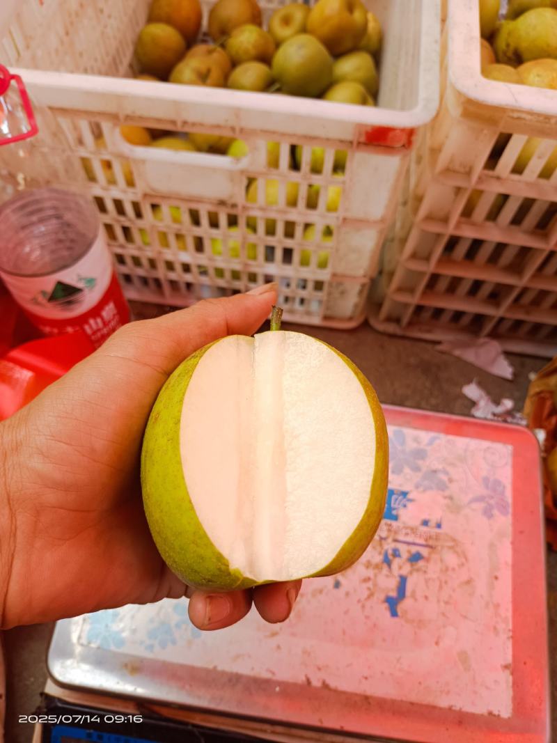 金溪的光果，套袋子的都有
