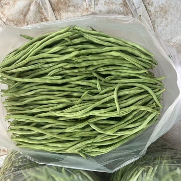 山西精品豆王