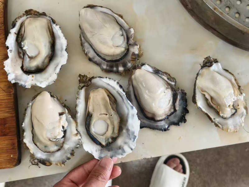 精品生蚝乳山生蚝大量有货量大从优产地直发
