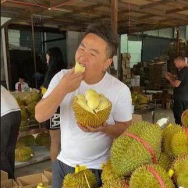 金枕榴莲一手货源批发价格
