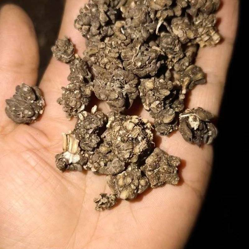 猫爪草统货批发支持代发1000克