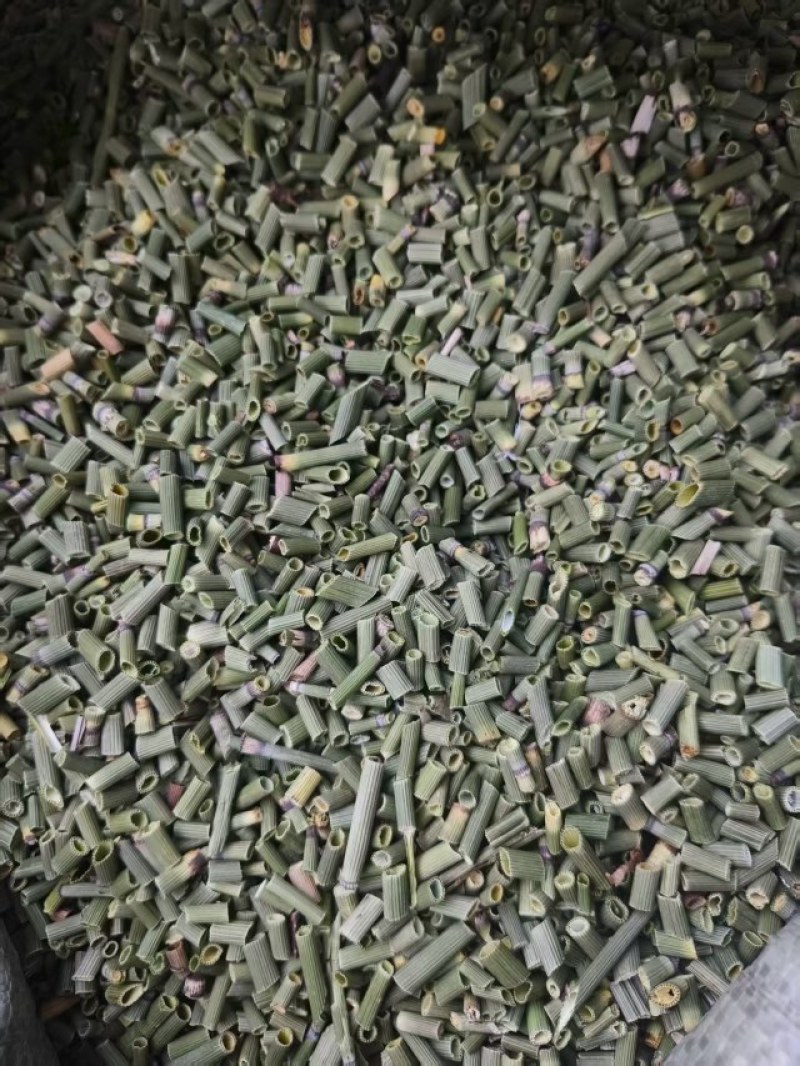 吉林木贼，节节草，源头产地干货，规格齐全大量批发
