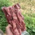 牛肋条腹肉条谷饲版烧烤烧鸟店穿串必备食材