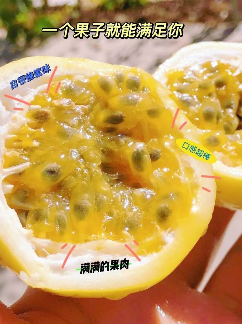 百香果钦蜜九号精品通货次果一条龙服务发全国