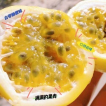 百香果钦蜜九号精品通货次果一条龙服务发全国