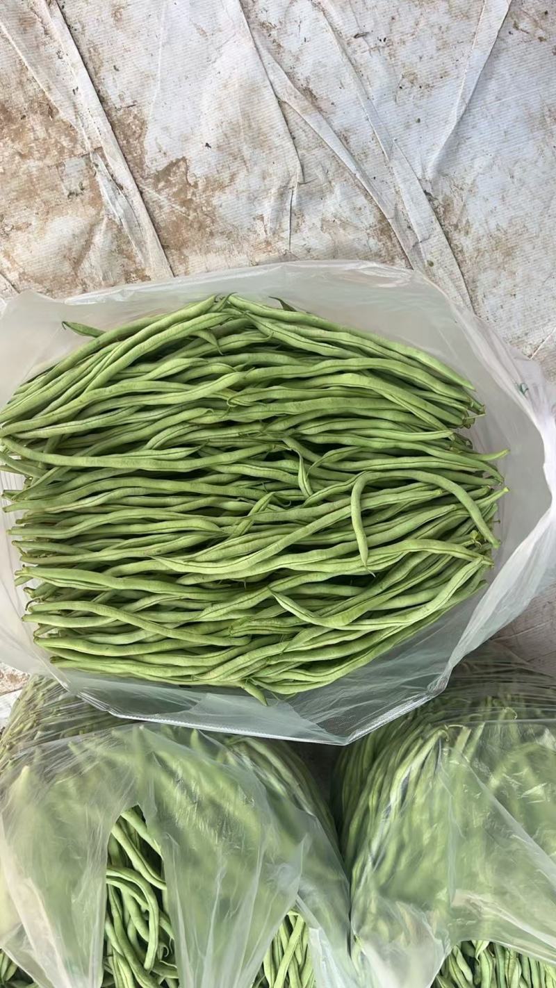 山西精品豆王