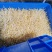 贵阳绿豆芽大量现货厂家直发量大从优欢迎订购