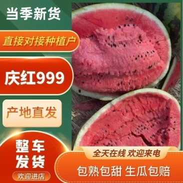 吉林地雷西瓜产地直发，现货供应品质保障视频看货