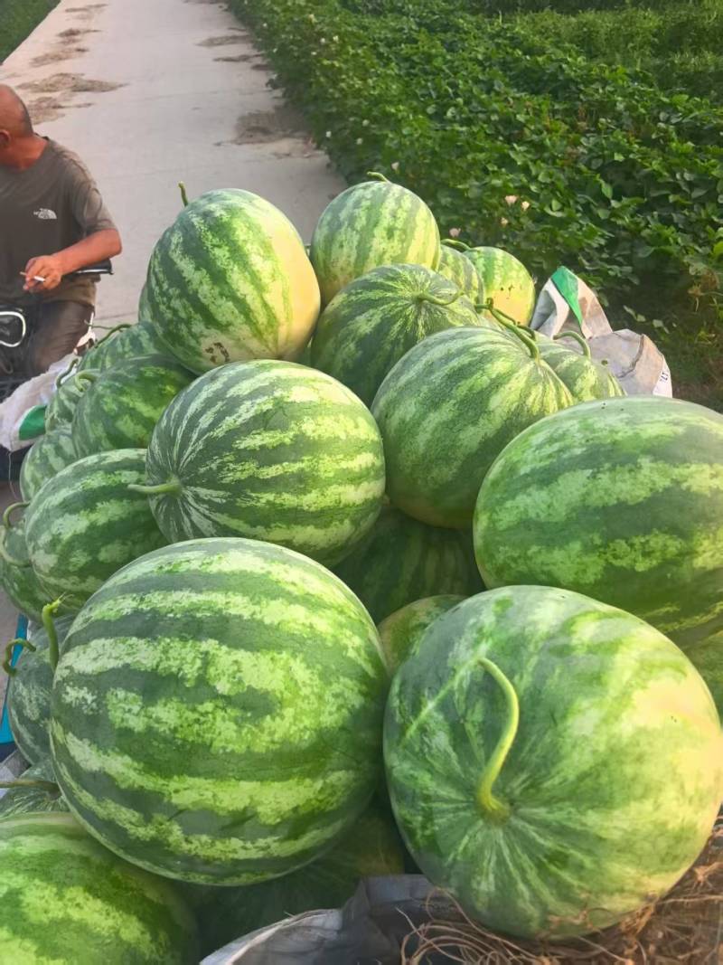 花无籽大量供货，有需要的老板可以联系！质量保证！