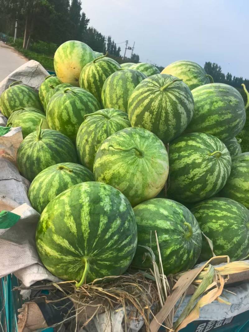花无籽大量供货，有需要的老板可以联系！质量保证！