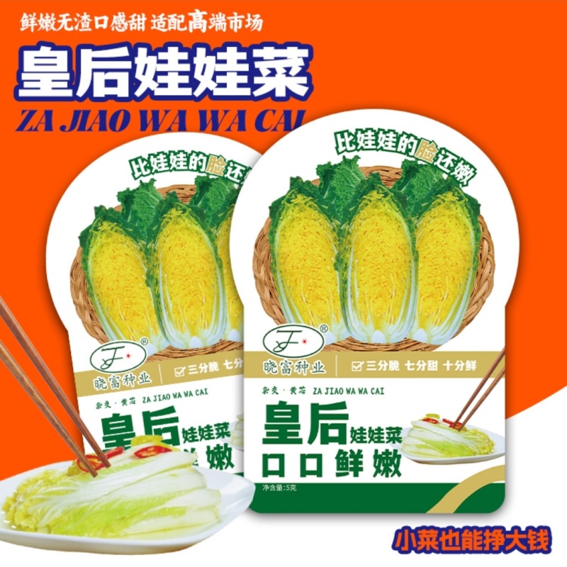 皇后娃娃菜种子早熟杂交黄心娃娃菜种子