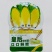 皇后娃娃菜种子早熟杂交黄心娃娃菜种子