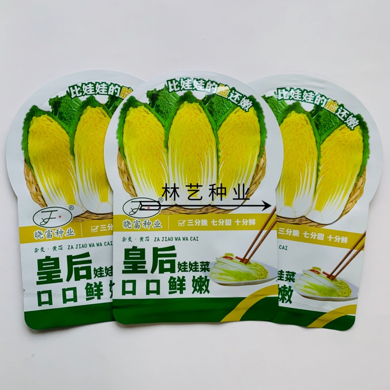 皇后娃娃菜种子早熟杂交黄心娃娃菜种子