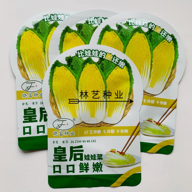 皇后娃娃菜种子早熟杂交黄心娃娃菜种子