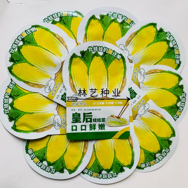 皇后娃娃菜种子早熟杂交黄心娃娃菜种子