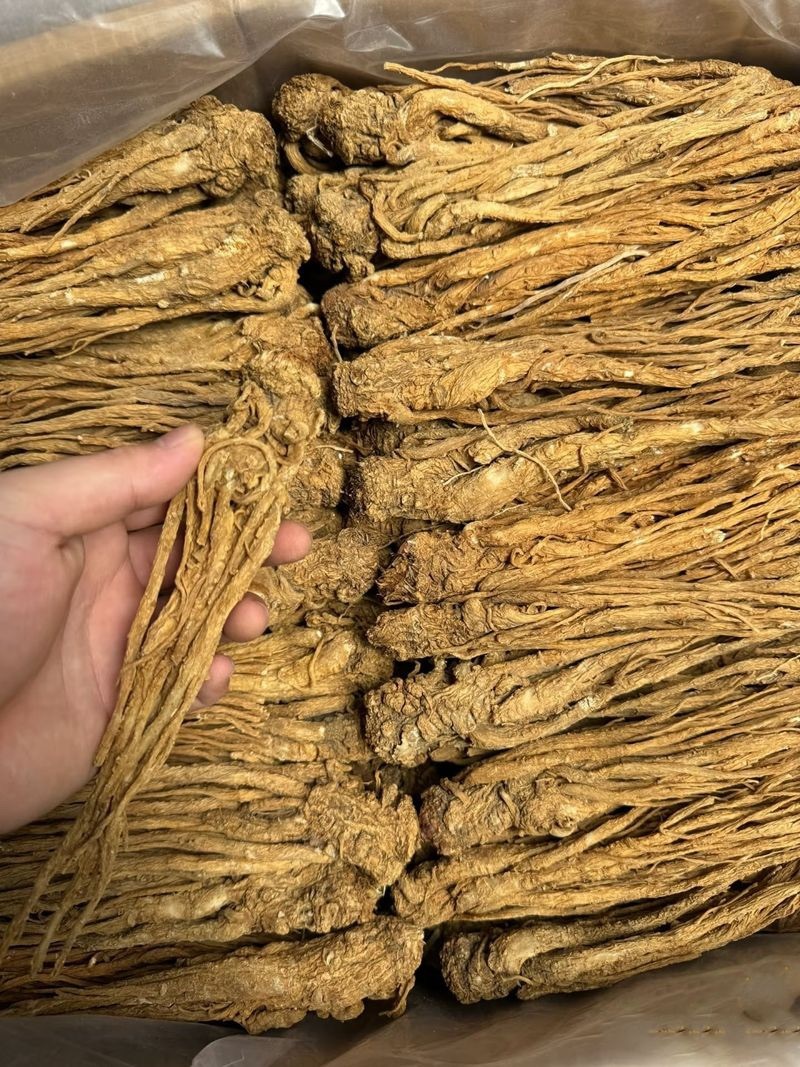 高品质当归源头货源当天专车发货可定制包装
