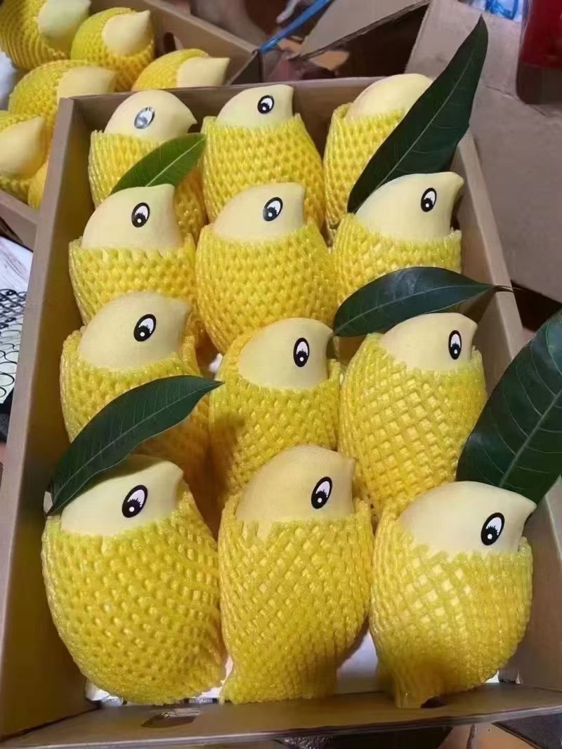 鹰嘴芒果