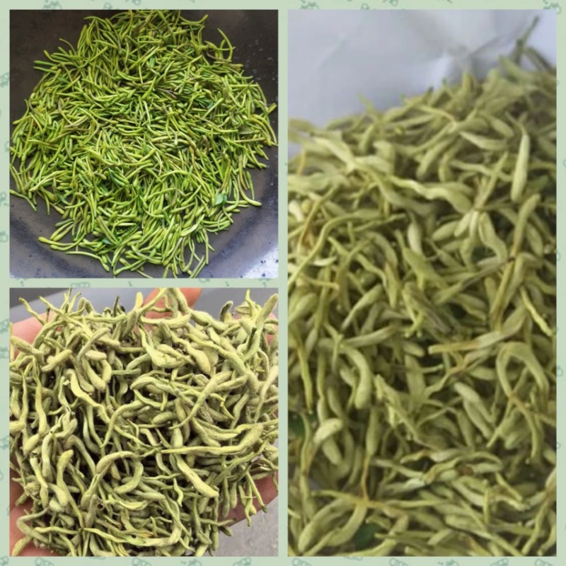 金银花精品货源当天专车发货可定制包装