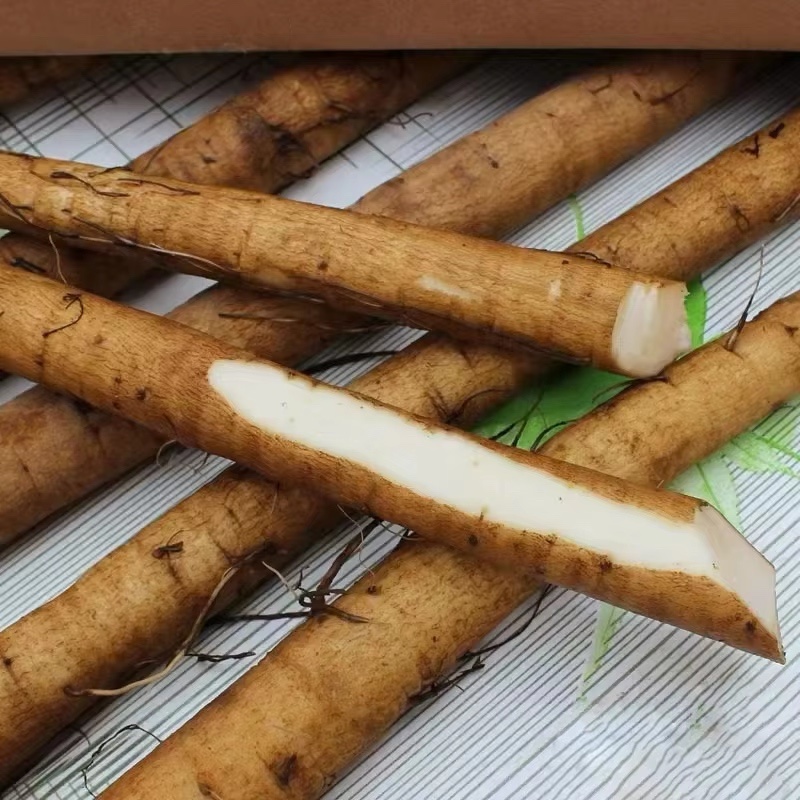 牛蒡精品货源当天专车发货可定制包装