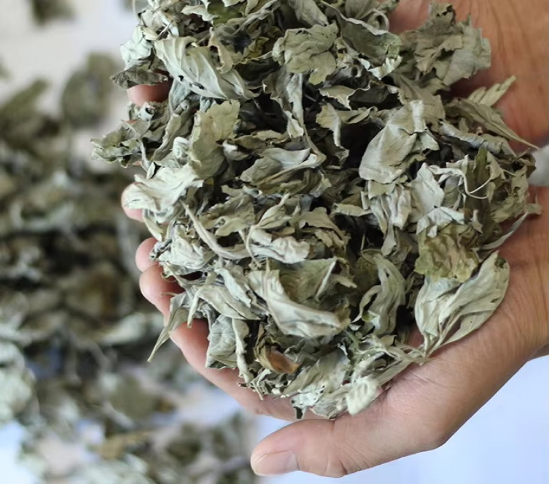 艾叶精品货源当天专车发货可定制包装