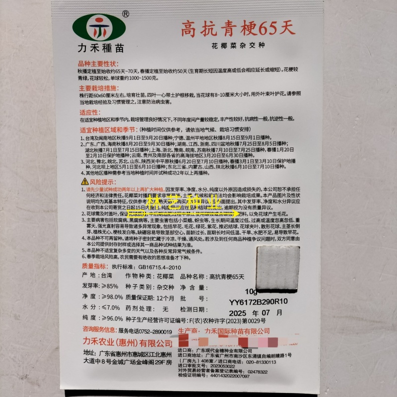 高抗青梗65天松花菜种子杂交种青梗散花菜花椰