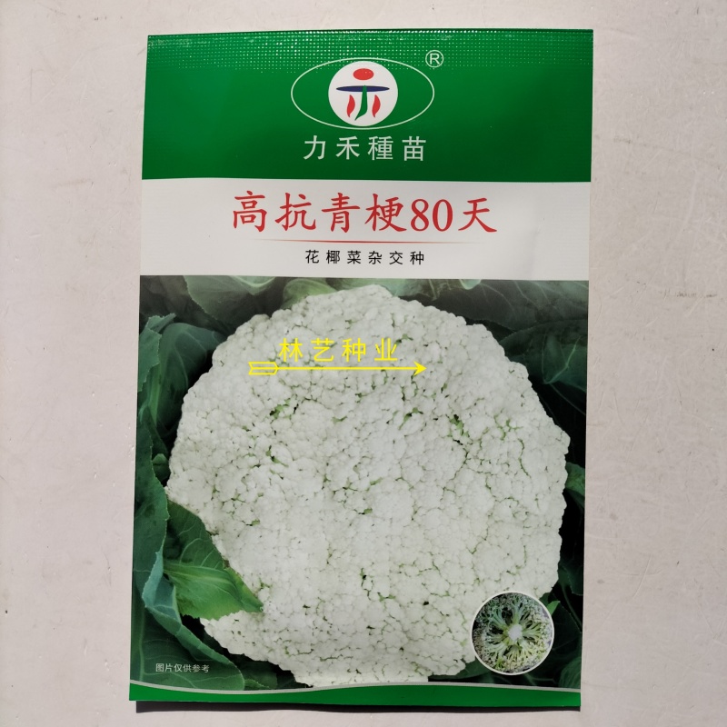 高抗青梗80天松花菜种子花椰菜杂交种散花春秋季