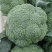 常青75西兰花种子花球紧实花椰菜绿西蓝花种籽盆栽春秋播蔬