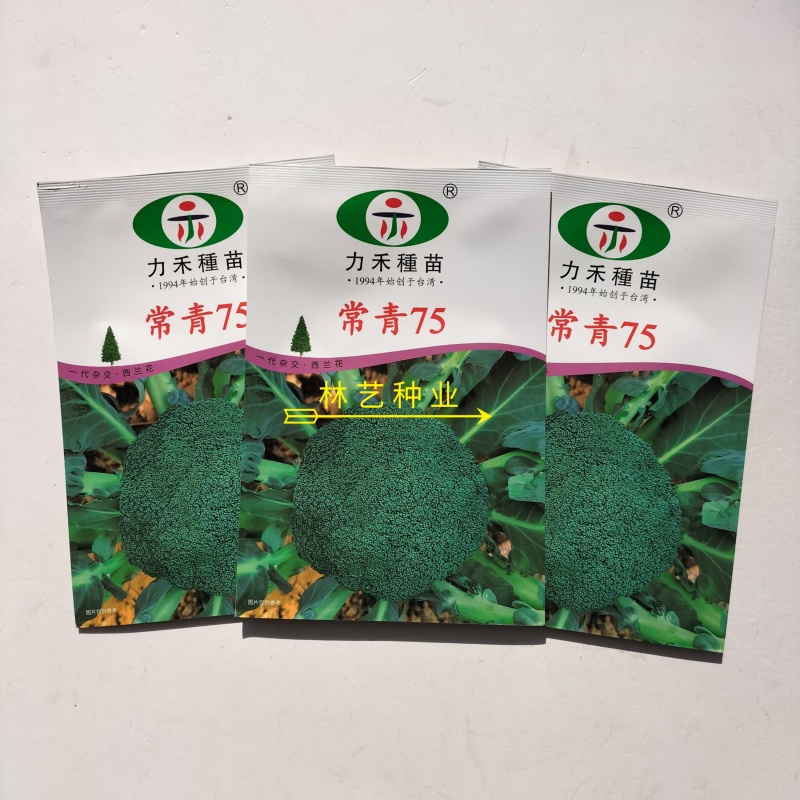 常青75西兰花种子花球紧实花椰菜绿西蓝花种籽盆栽春秋播蔬