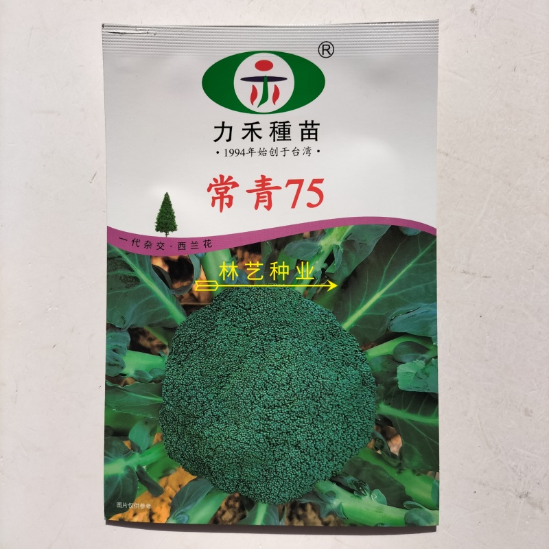 常青75西兰花种子花球紧实花椰菜绿西蓝花种籽盆栽春秋播蔬