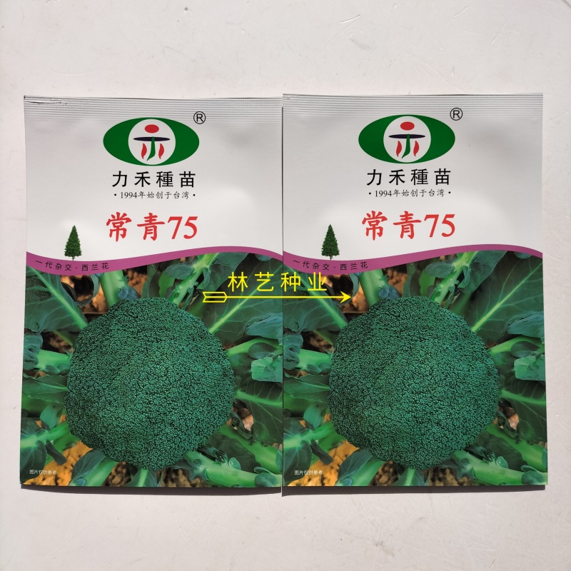 常青75西兰花种子花球紧实花椰菜绿西蓝花种籽盆栽春秋播蔬