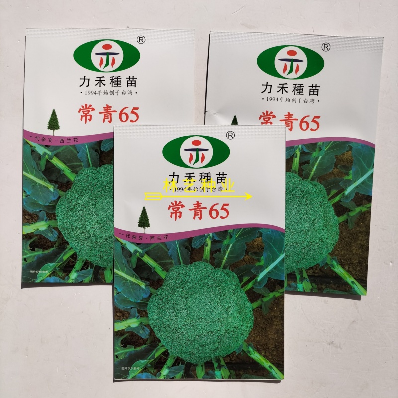 力禾常青65西兰花种子进口种深绿紧实高产抗病