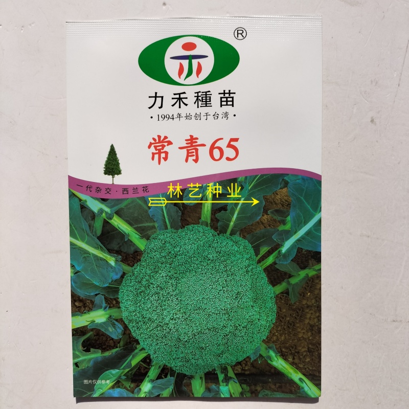 力禾常青65西兰花种子进口种深绿紧实高产抗病