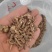 藏柴胡颗粒甘肃藏柴胡批发