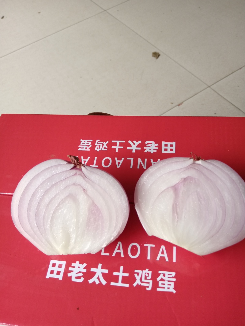 二红洋葱