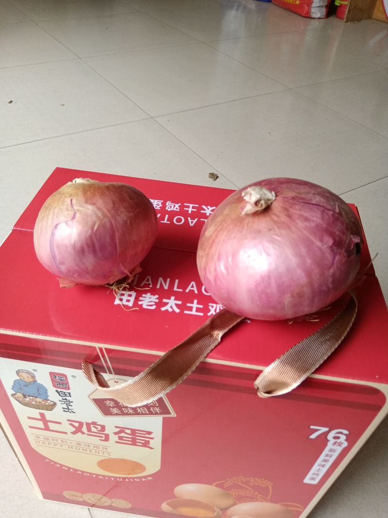 二红洋葱