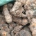 野生土茯苓