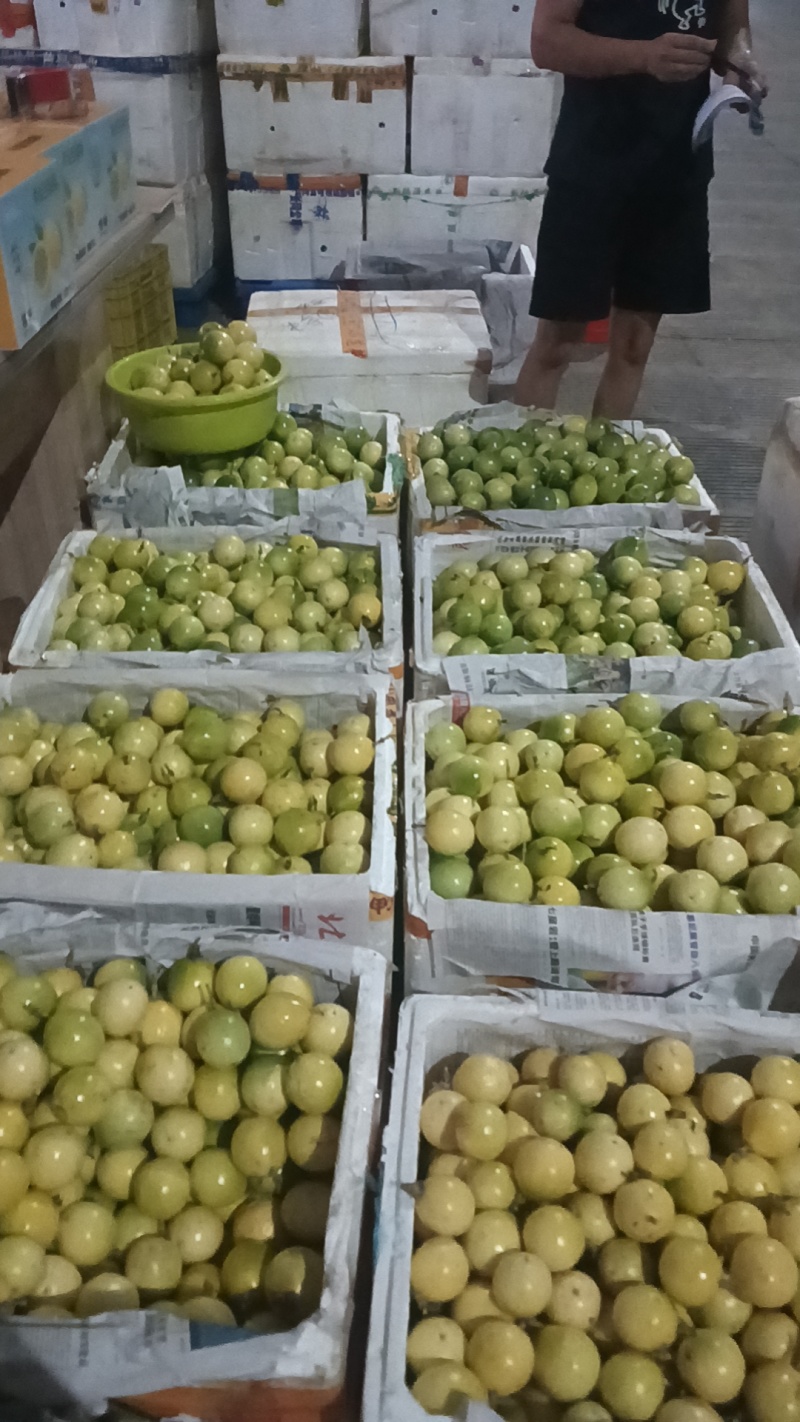 大量供应广西桂林的精品百香果，空运，物流快递，全国发货