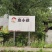 纯绿色，无公害的好味道玉米
