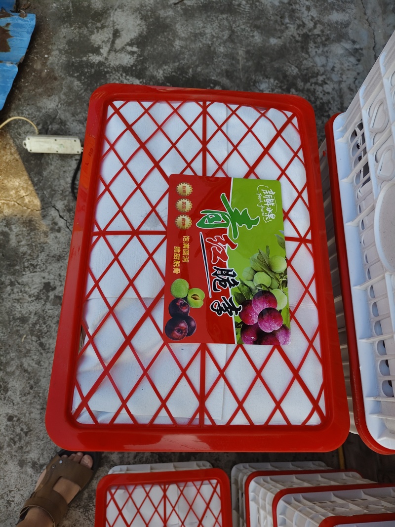 青脆李果园现采依质挑选包装，囗感脆甜，果肉离核，各种包装
