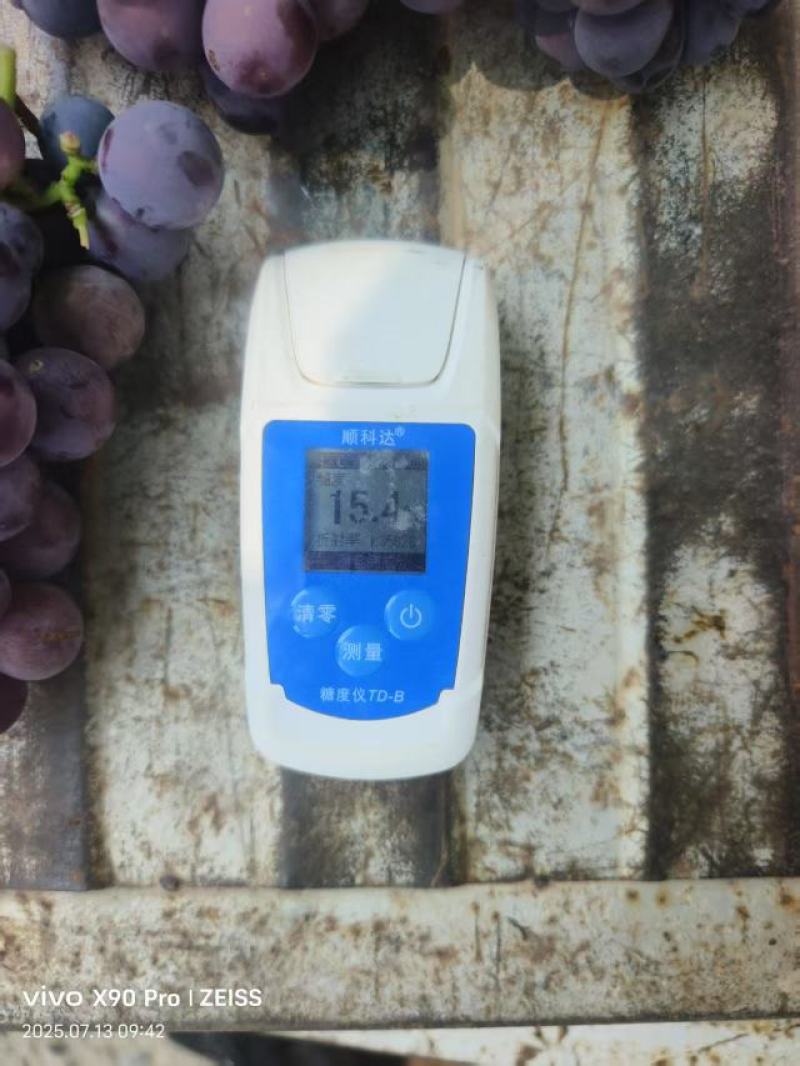 山东省聊城冠县京亚葡萄大量有货，有需要老板马上连系我吧。