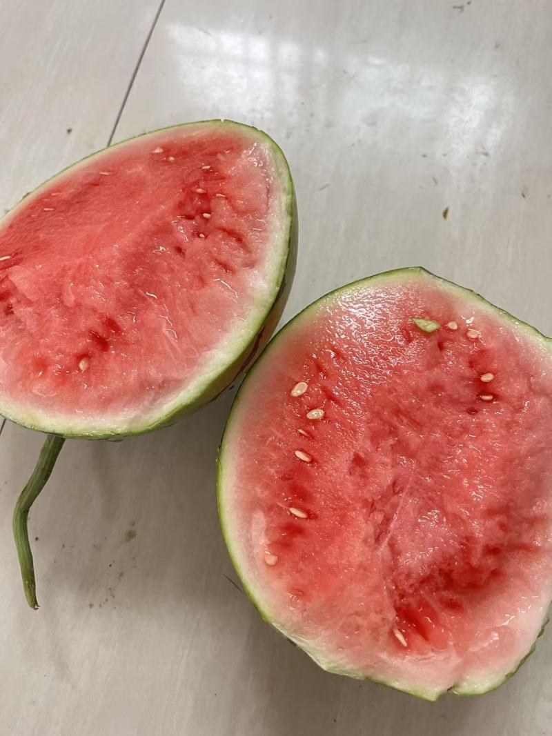 精品小吊瓜
