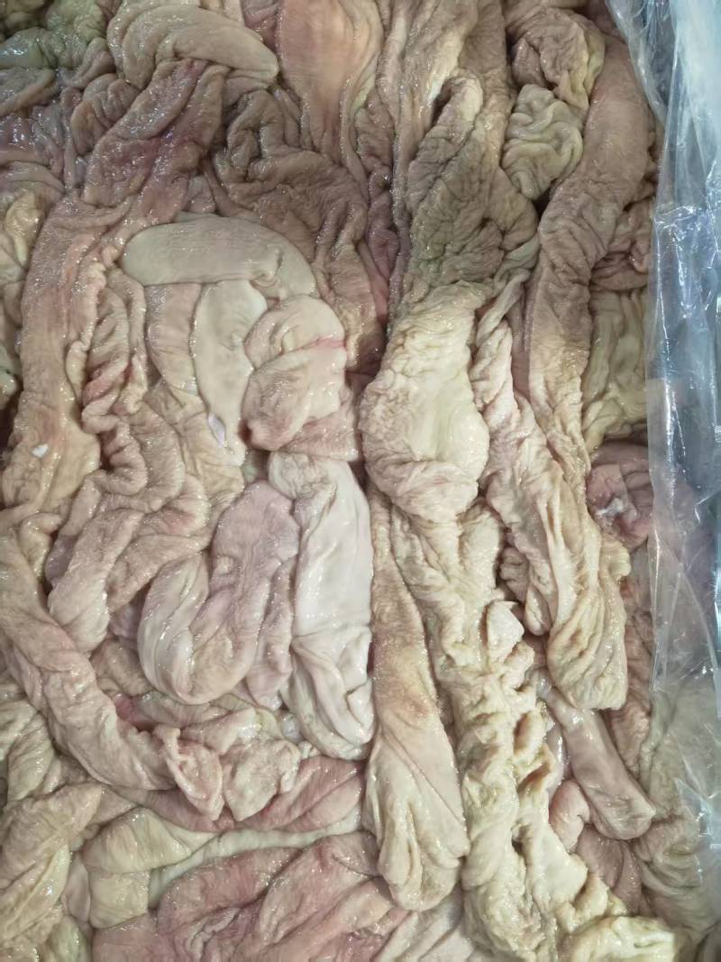 精品鲜肥肠