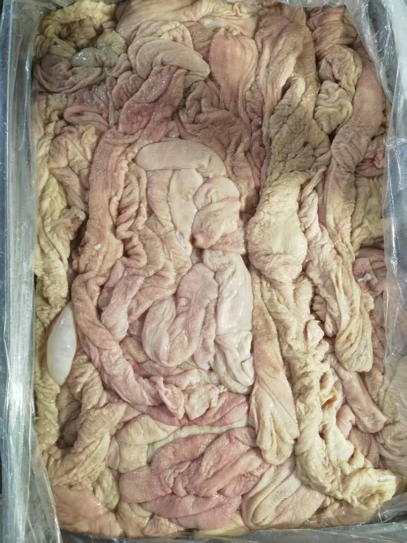 精品鲜肥肠