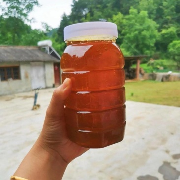 土蜂蜜