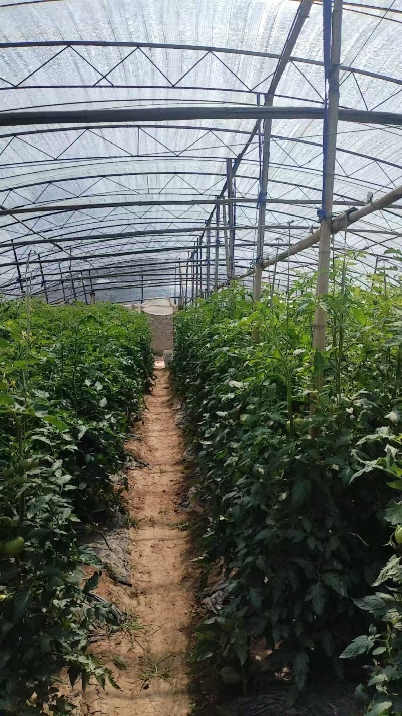 纯原料遮阳网抗老化