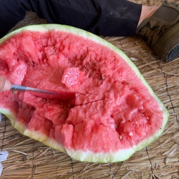 精品硒砂瓜基地直销量大质优价格优惠一手货源欢迎咨询