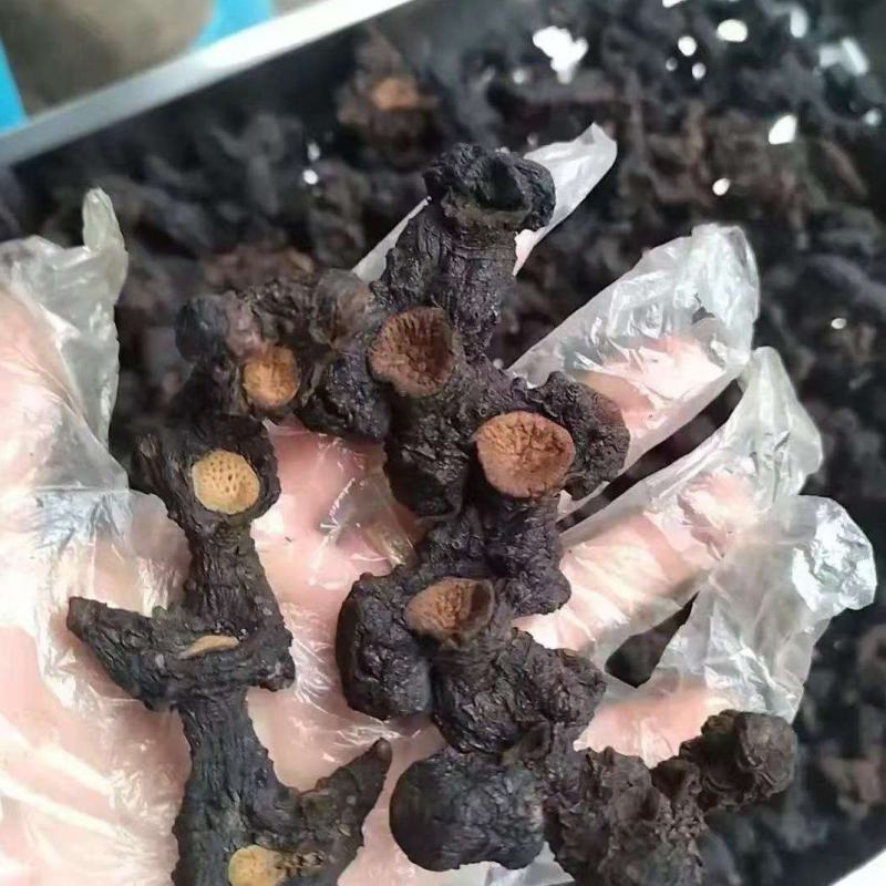 野生九华黄精，整根发货一手货源，可授权九华山黄精
