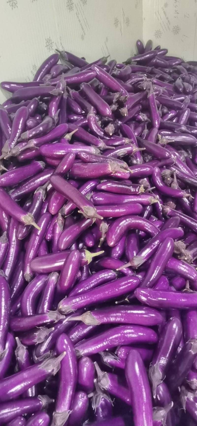 【量大优惠】湖北烧烤茄子品质保障对接全国批发电商商超
